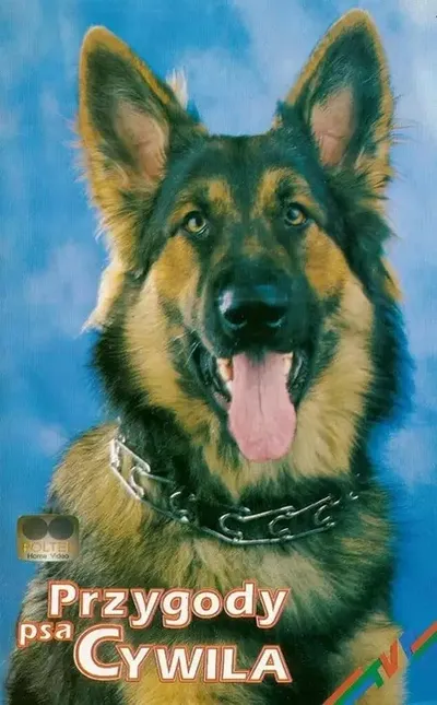 Przygody psa Cywila (1970-1971) PL.1080p.WEB-DL.H264-AS76-FT / Serial PL