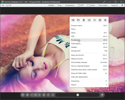 BandiView Pro 7.23 (x64) MULTi-PL