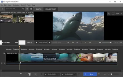 SolveigMM Video Splitter 8.1.2508.21 (x64)