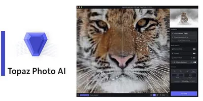 Topaz Photo AI 2.4.2 (x64)