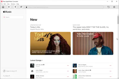 Pazu Apple Music Converter 1.8.7 (x64)