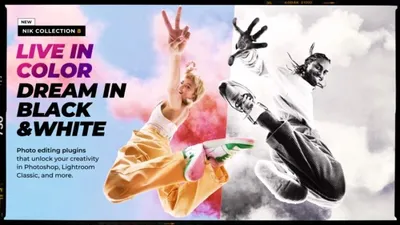 Nik Collection by DxO 8.1.101 (x64) MULTi-PL