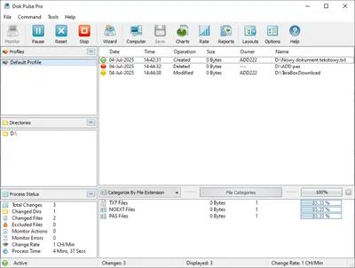 Disk Pulse 17.1.28 (x86/x64) All Editions