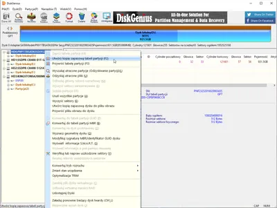 DiskGenius Professional 6.0.0.1631 MULTi-PL