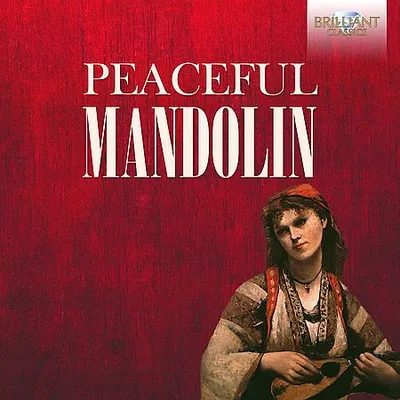 VA - Peaceful Mandolin (2024) [FLAC]