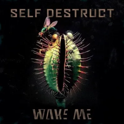 We Me - Self Destruct EP (2025)