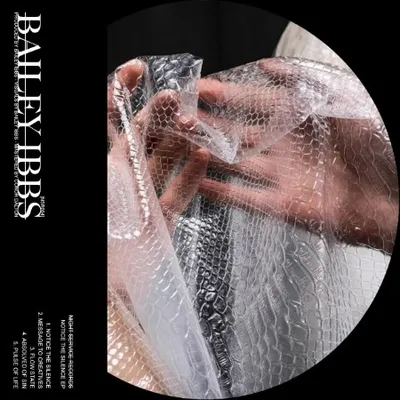 Bailey Ibbs - Notice The Silence EP (2025)