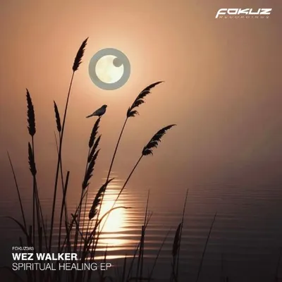 Wez Walker - Spiritual Healing EP (2025)