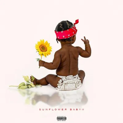 FastMoneyDBoy - Sunflower Baby 2 (2025)
