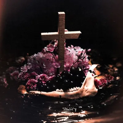 Gore. - If You Do Not Fear Me... (2025)