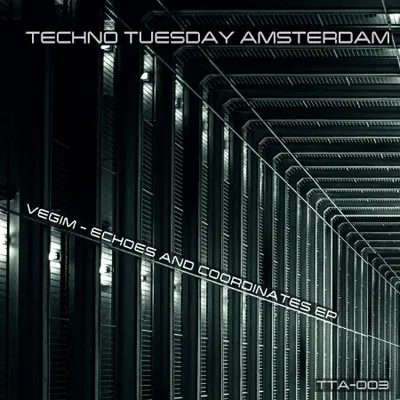 Vegim - Echoes And Coordinates (2025)