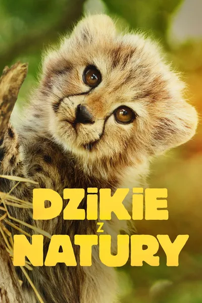 Dzikie z natury / Born to be Wild (2025) [SEZON 1] PLSUB.1080p.WEB.H264-GRACE / Napisy PL