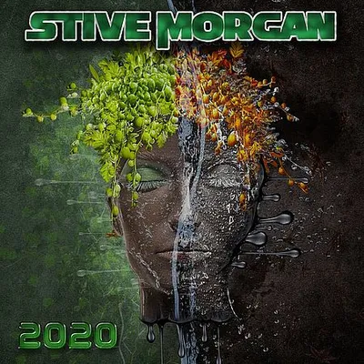 Stive Morgan - 2020 (2020) [FLAC]