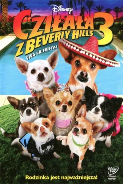 Cziłała z Beverly Hills 3 / Beverly Hills Chihuahua 3 (2012) PL.720p.BDRip.XviD.AC3-ELiTE / Lekto...