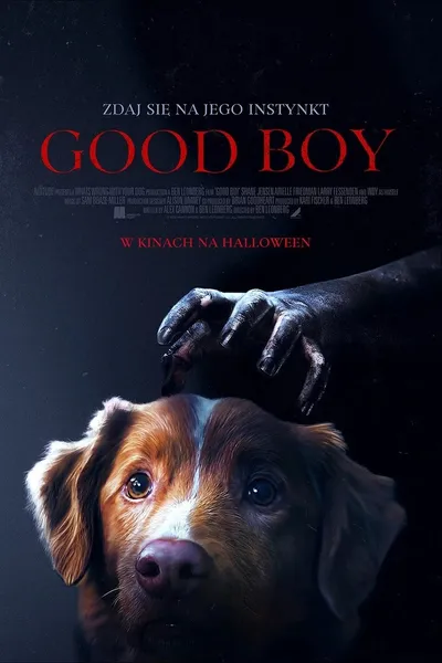 Good Boy (2025) PL.MULTi.2160p.iT.WEB-DL.DoVi.HDR.DDP5.1.HEVC-P2P / Polski Lektor DDP 5.1 i Napisy PL