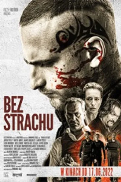 Bez strachu / Sans peur / Roads of Fear (2022) PL.BDRip.x264.AAC.2.0-MG / LEKTOR PL