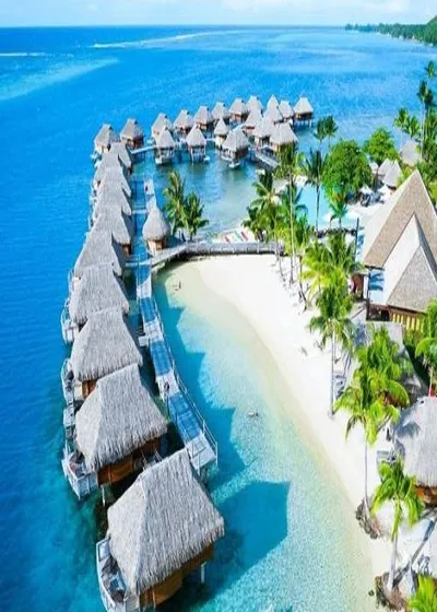 Barwy Polinezji / Flavour of Polynesia (2007) PL.DVDRip.XviD-user | Lektor PL