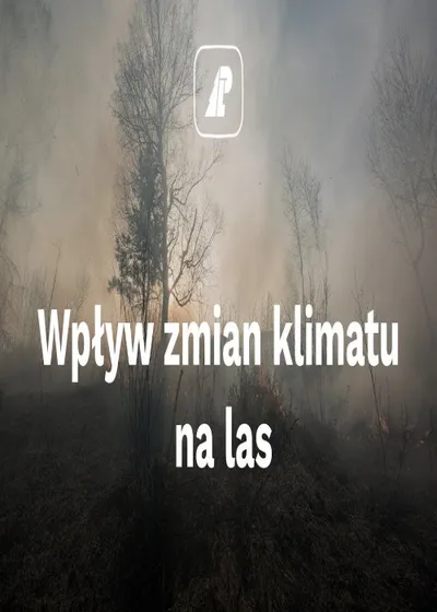 Wpływ zmian klimatu na las (2020) POLDOK.720p.WEB-DL.X264-Kbuso | Polska Produkcja
