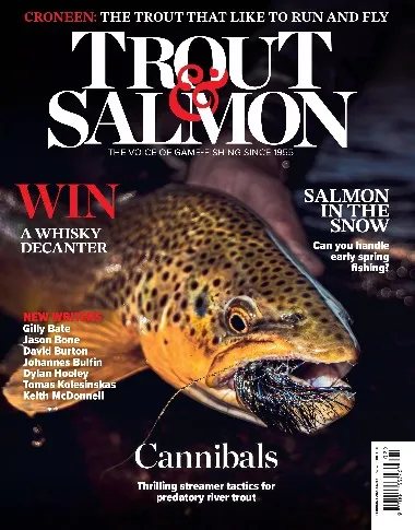 Trout & Salmon - February / 2026