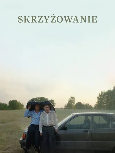 Skrzyżowanie (2024) PL.2160p.UHD.WEB-DL.HDR.HLG.H.265.DDP5.1-FOX / Polska Produkcja