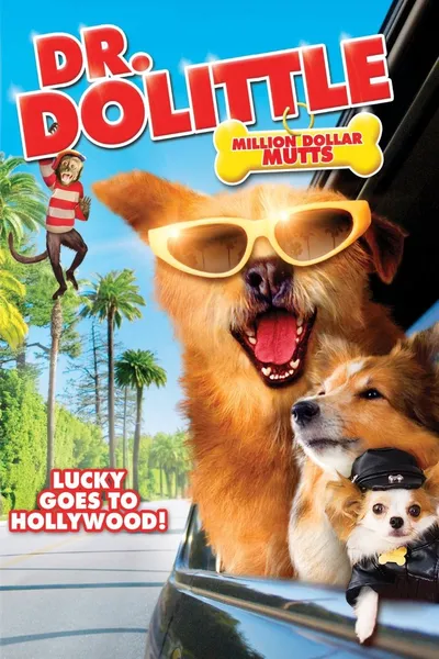 Dr Dolittle: W pogoni za błahostkami / Dr. Dolittle: Million Dollar Mutts (2009) PL | 360p | 480p | 720p | AC3.BRRip.XviD-GR4PE | DD5.1 | Lektor PL