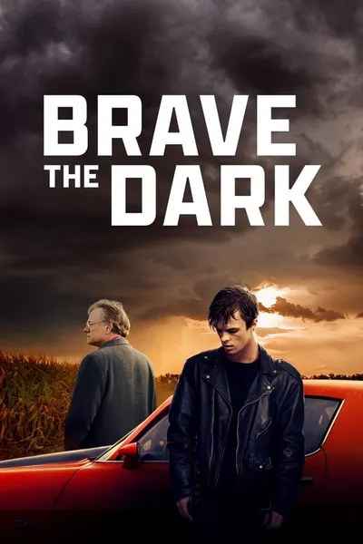 Światło w ciemności / Brave the Dark (2023) MULTi.1080p.WEB-DL.H.264.DDP5.1-FOX / Polski Lektor DDP 5.1 i Napisy PL