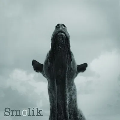 Smolik - Smolik 4 (2010) [FLAC]