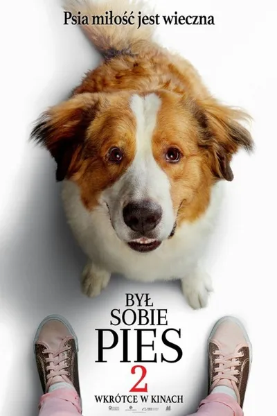 Był sobie pies 2 / A Dogs Journey (2019) SD