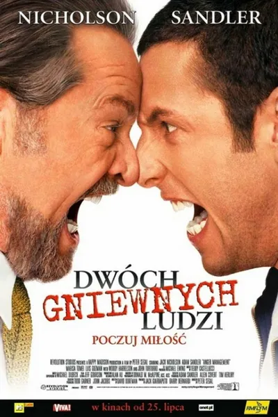 Dwóch gniewnych ludzi / Anger Management (2003) MULTI.BluRay.1080p.x264-LTN / Lektor PL