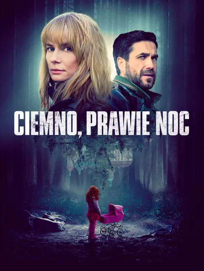 Ciemno, prawie noc (2019) SD