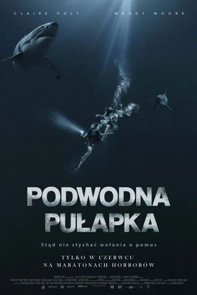 Podwodna pułapka / 47 Meters Down (2017) HD