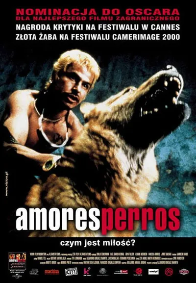 Amores perros (2000) MULTi.1080p.BluRay.REMUX.AVC.DTS-HD.MA.5.1-LTS ~ Lektor i Napisy PL