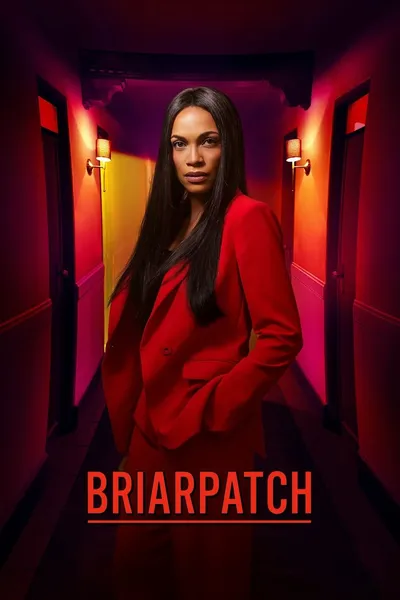 W matni / Briarpatch (2020) [Sezon 1] PL.480p.AMZN.WEB-DL.DD5.1.XviD-H3Q / Lektor PL