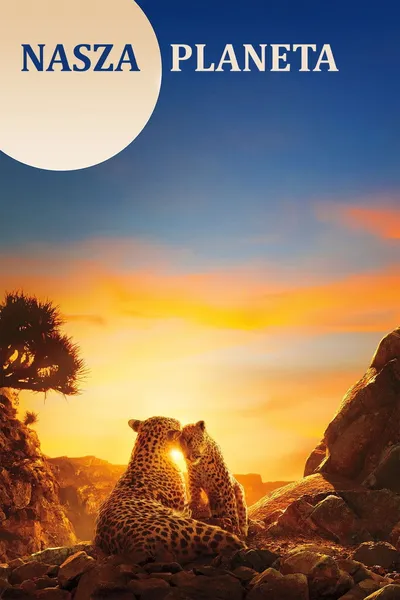 Nasza Planeta / Our Planet (2019) [Sezon 1] PL.480p.xvid.dd5.1.pl.p2p / Lektor PL