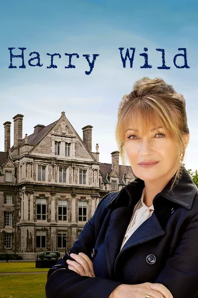 Harry Wild (2022-2025) (Sezon 1-4) PL.1080i.HDTV.x264-MIX / Lektor PL