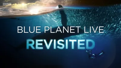 Błękitna planeta. Powrót: Wielka Rafa Koralowa / Blue Planet Revisited: Great Barrier Reef (2020)  S00E08.Great.Barrier.Reef.1080p.iP.WEB-DL.AAC2.0.H.264-Kitsune