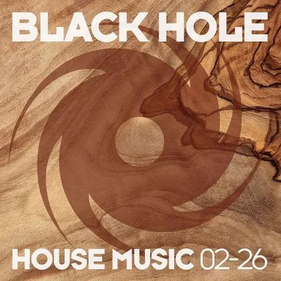 VA - Black Hole House Music 02-26 (2026) MP3