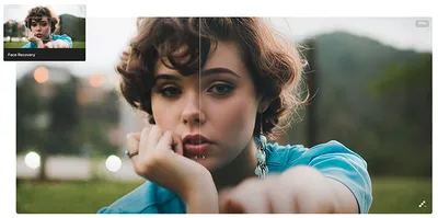 Topaz Gigapixel Pro 1.0.4 (x64)