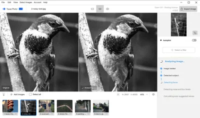 Topaz Photo Pro 1.0.3 (x64)