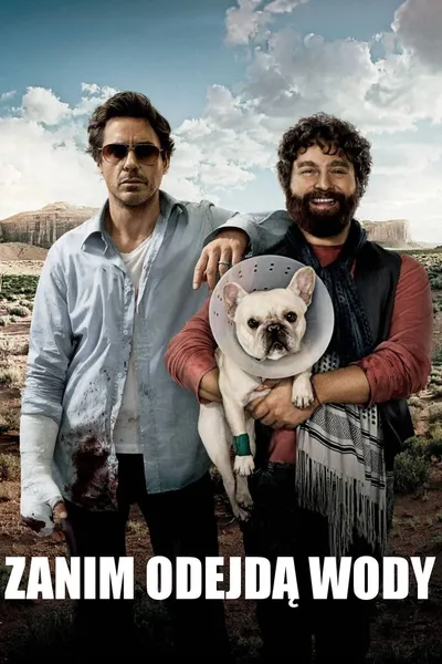 Zanim odejdą wody / Due Date (2010) PL.1080p.WEB-DL.H264-wasik / Lektor PL