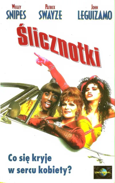 Ślicznotki / To Wong Foo, Thanks for Everything, Julie Newmar (1995) PL.1080p.BluRay.x264.AC3-LTS ~ Lektor PL
