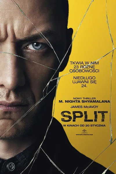 Split (2016) 1080p.WEB-DL.H264.AC3.2.0.BP007 | Lektor PL