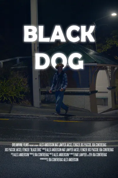 Czarny pies / Black Dog / Gouzhen (2024) MULTi.1080p.HMAX.WEB-DL.x264-KiT ~ Lektor i Napisy PL