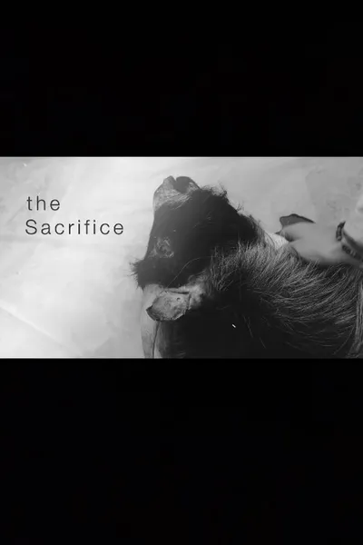 Poświęcenie / The Sacrifice (2020) 1080p.WEB-DL.H264.AC3.2.0.BP007 | Lektor PL