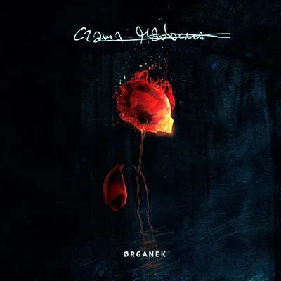 Organek - Czarna Madonna (2016) FLAC