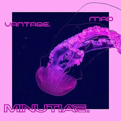 Mad Vantage - Minutiae (2025) [FLAC]
