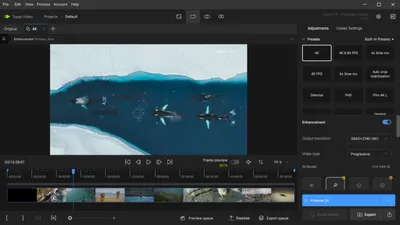Topaz Video 1.0.5 (x64)