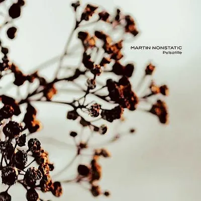 Martin Nonstatic - Pulsatille (2023) [FLAC]