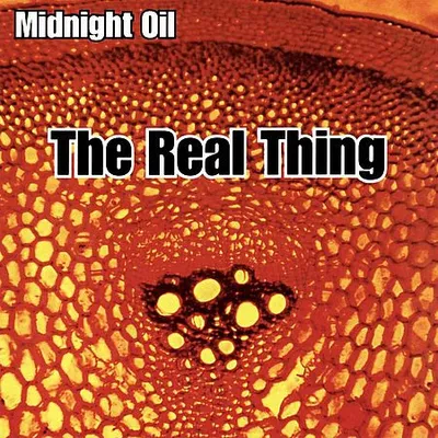Midnight Oil - The Real Thing (2000)
