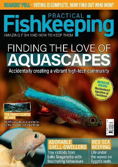 Practical Fishkeeping - December / 2025